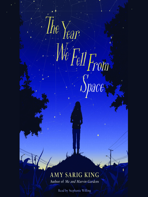 Title details for The Year We Fell From Space (Scholastic Gold) by Amy Sarig King - Available